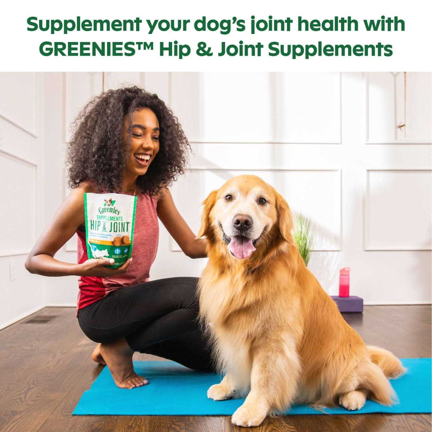 Alternative view of Greenies Supplements Hip & Joint for Dogs
