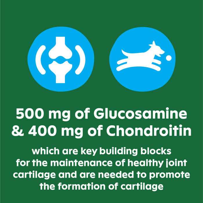 Alternative view of Greenies Supplements Hip & Joint for Dogs