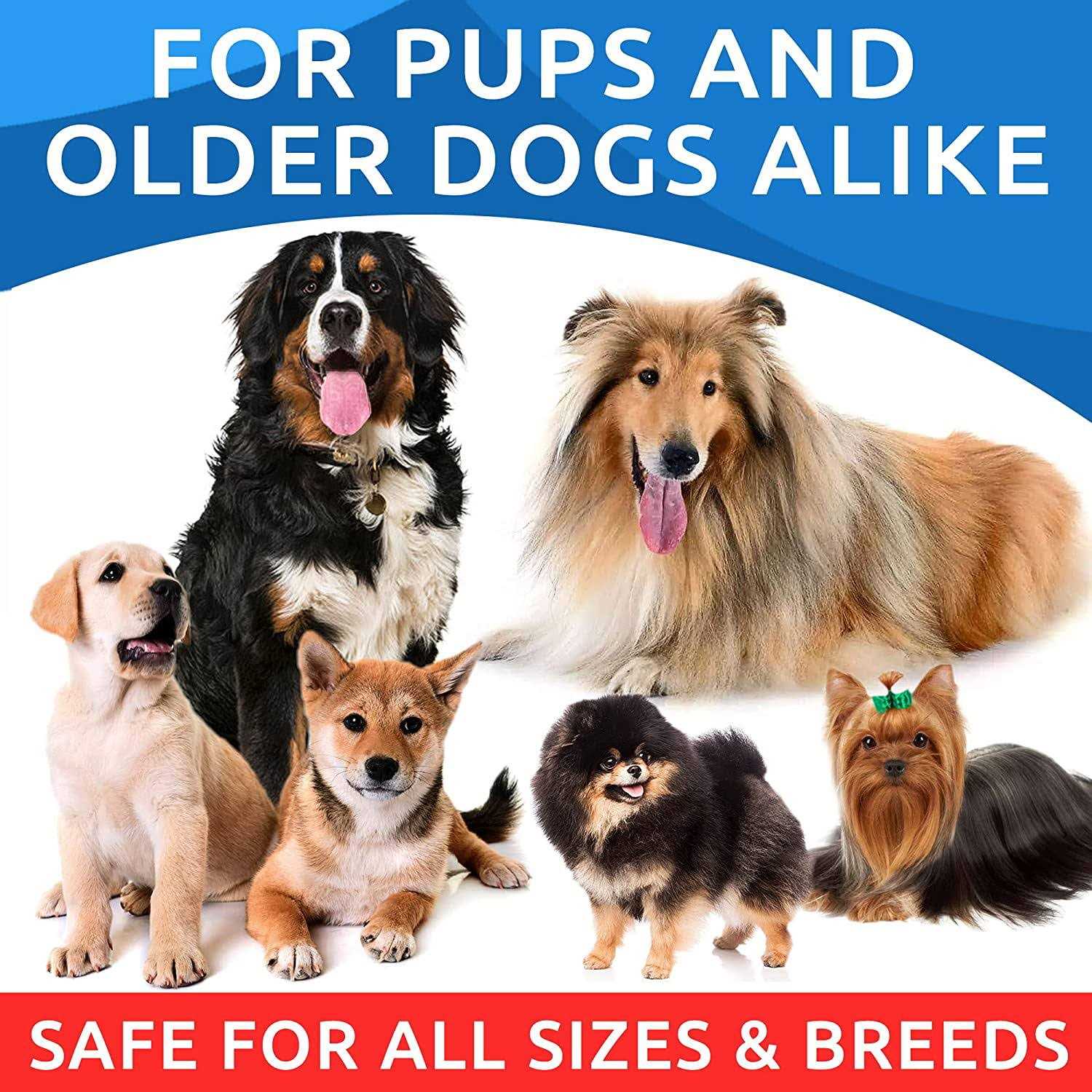 Alternative view of Bark&Spark Omega Dogs Oil