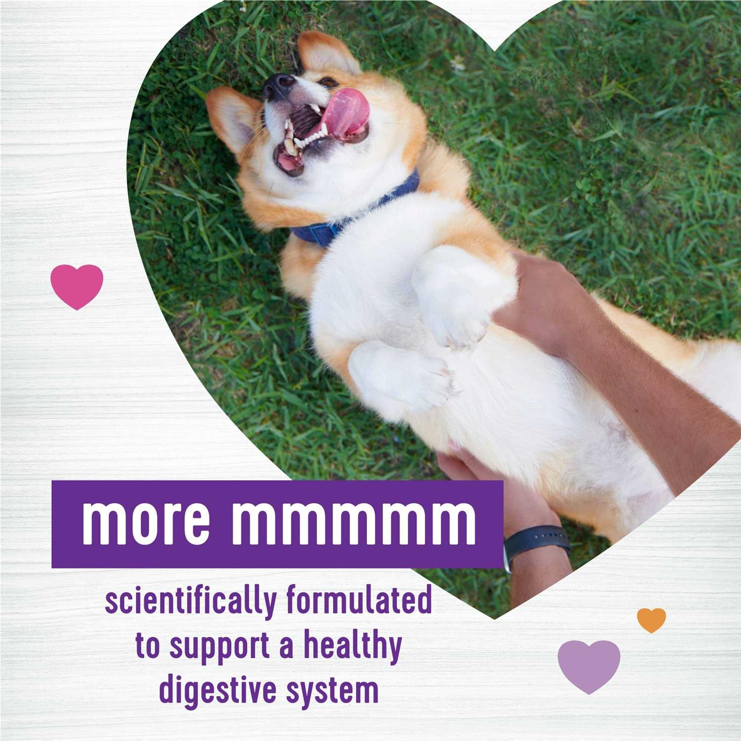 Alternative view of Wellness Pumpkin Patch Flavored Soft Chew Digestive Health Supplements for Dogs