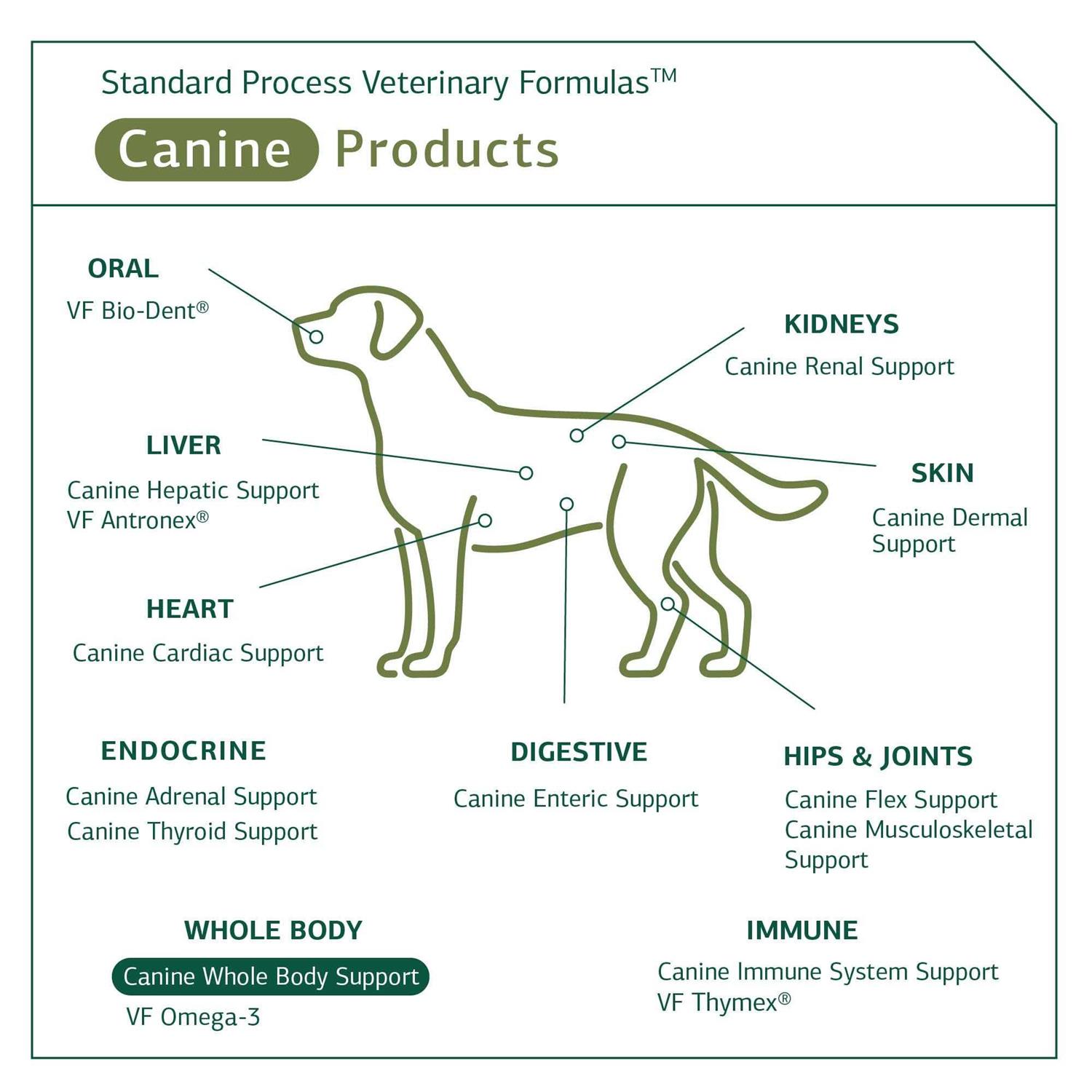 Alternative view of Standard Process Canine Whole Body Support