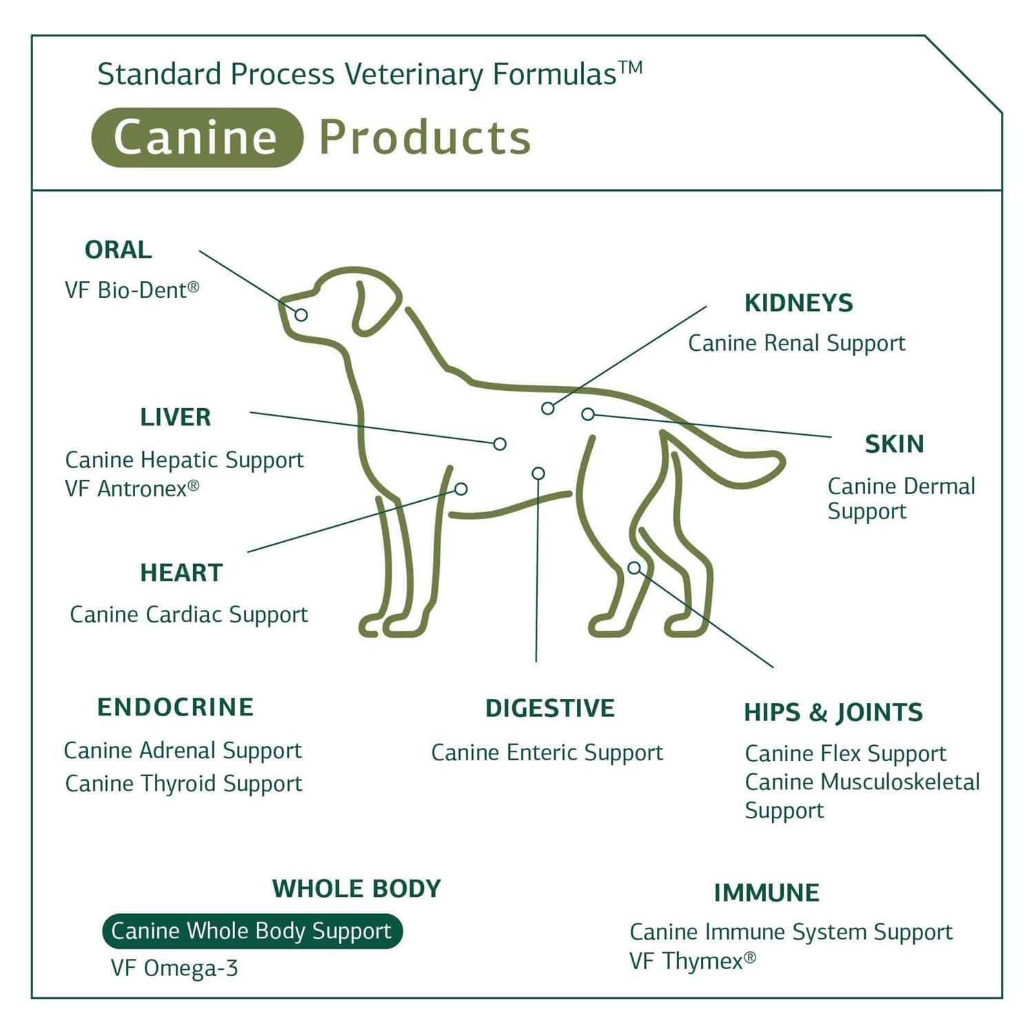 Alternative view of Standard Process Canine Whole Body Support
