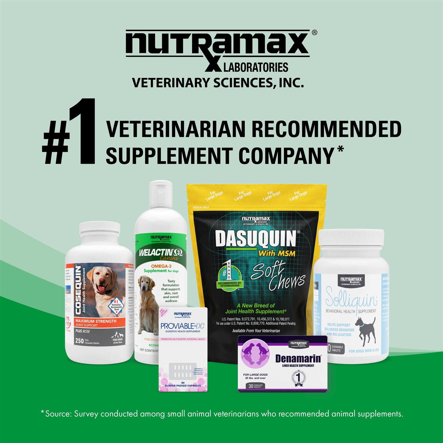 Alternative view of Nutramax Welactin Omega-3 Fish Oil Liquid Skin & Coat Supplement for Cats