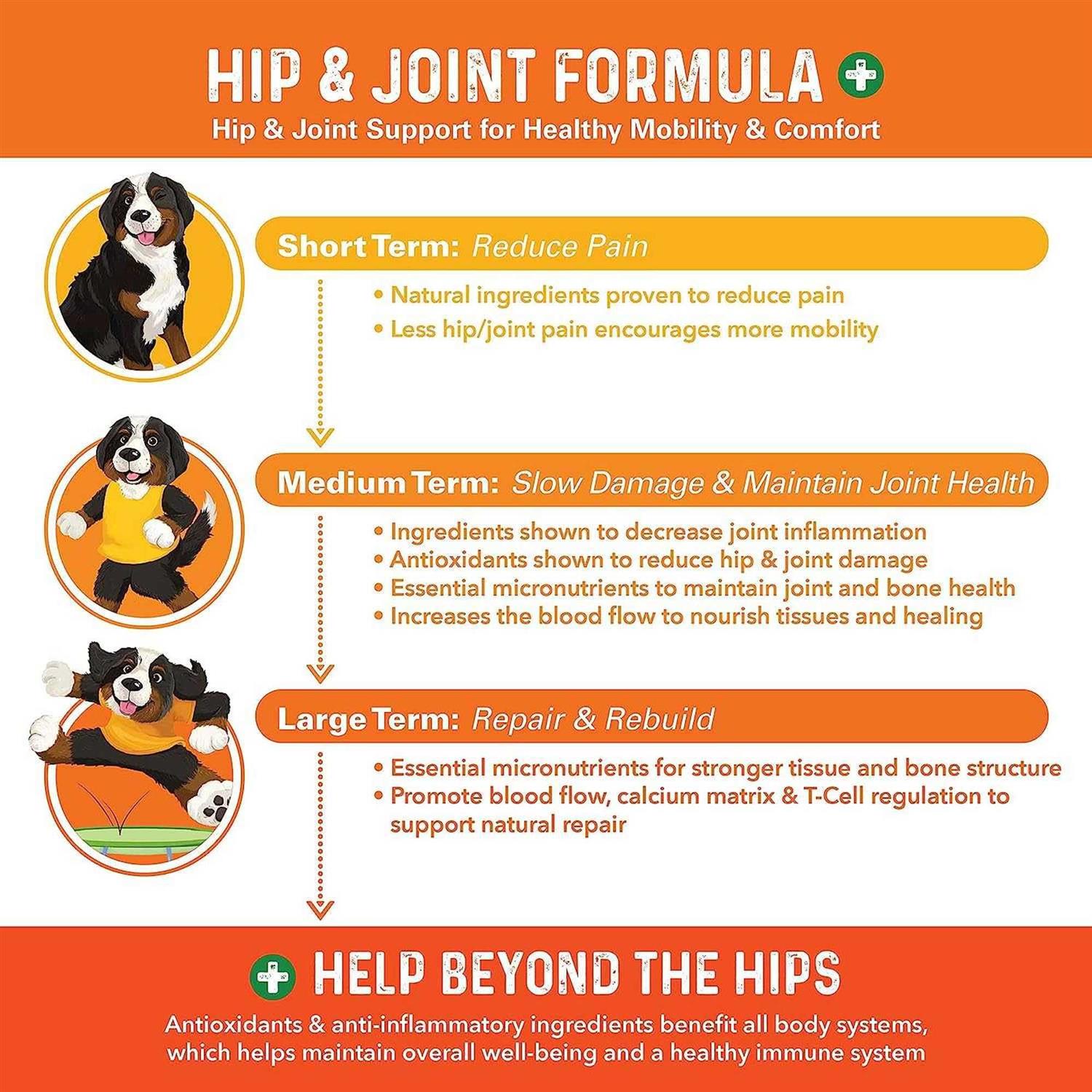 Alternative view of Bernie's Healthy Hips Daily Dog Hip and Joint Supplement