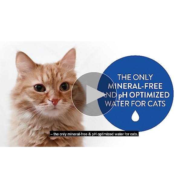 Alternative view of Catwater by Vetwater ph-Balanced and Mineral-Free Cat Water Clinically Proven Urinary Formula