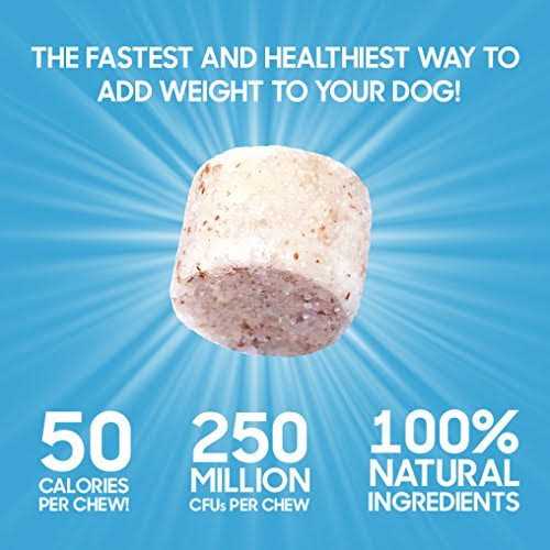 Alternative view of Bully Max Power Chews for Weight Gain
