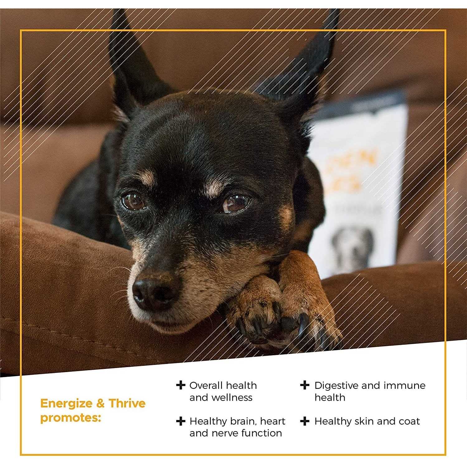 Alternative view of VetriScience Golden Years Energize and Thrive Multivitamin for Senior Dogs
