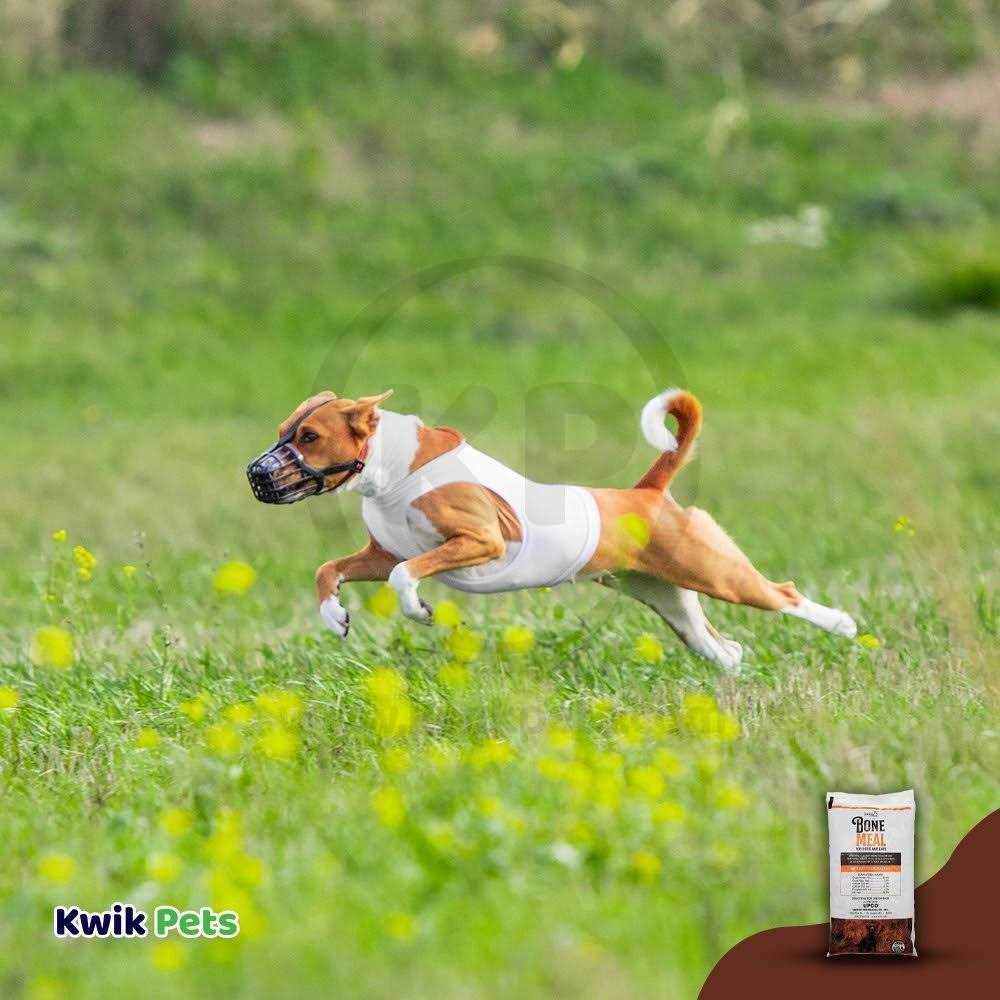 Alternative view of Upco Bone Meal Supplement for Dogs and Cats