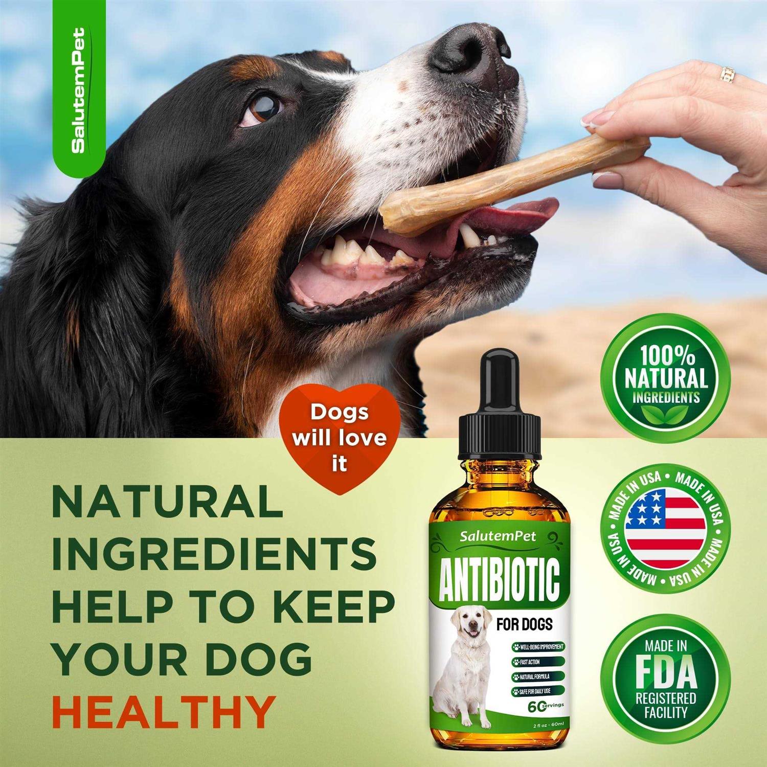Alternative view of Natural Antibiotics for Dogs Dog Antibiotics Supports Dog Allergy Relief