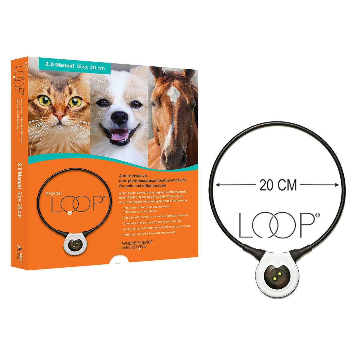 Assisi Loop 2.0 Manual