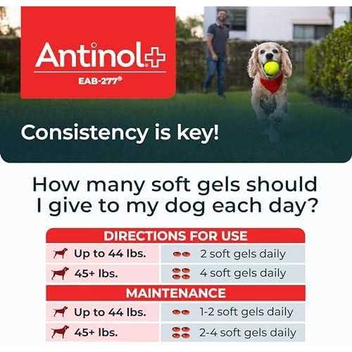 Alternative view of Antinol Plus, Mobility, Hip, and Joint Supplement for Dogs, Green-Lipped Mussels and Krill Oil