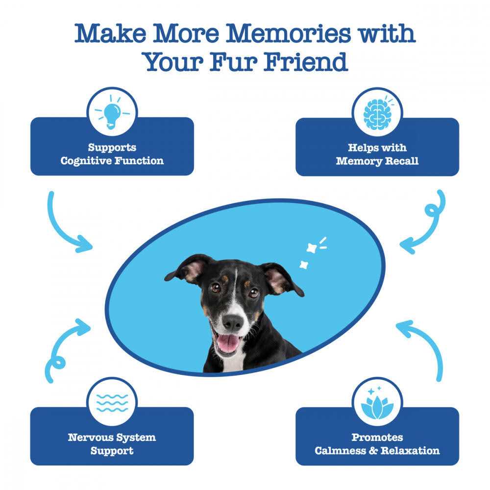 Alternative view of Zesty Paws Senior Advanced Cognition Bites