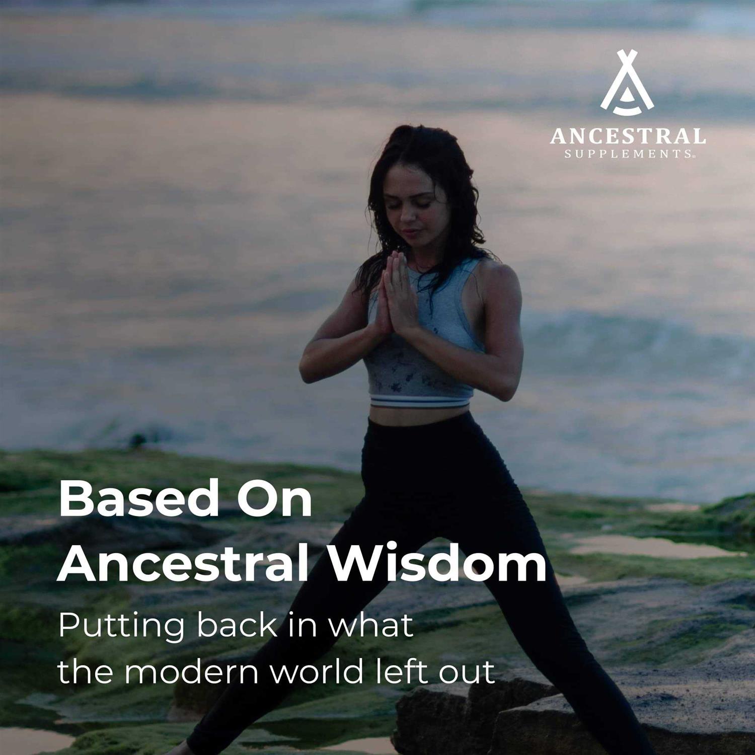 Alternative view of Ancestral Supplements Grass Fed Beef Bone and Marrow Supplement