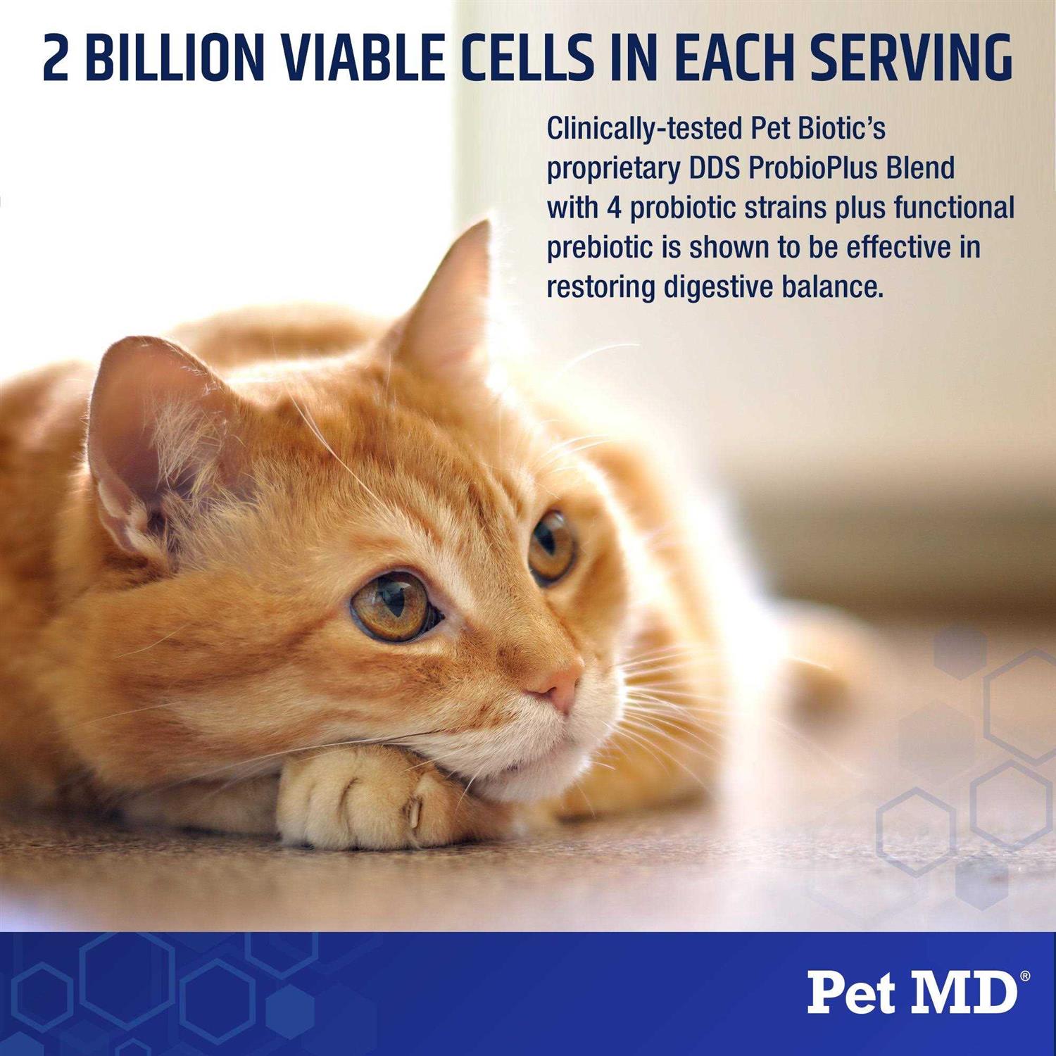 Alternative view of Rx Vitamins Pet Biotic Probiotics for Dogs & Cats