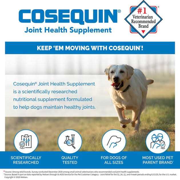 Alternative view of Cosequin DS for Dogs