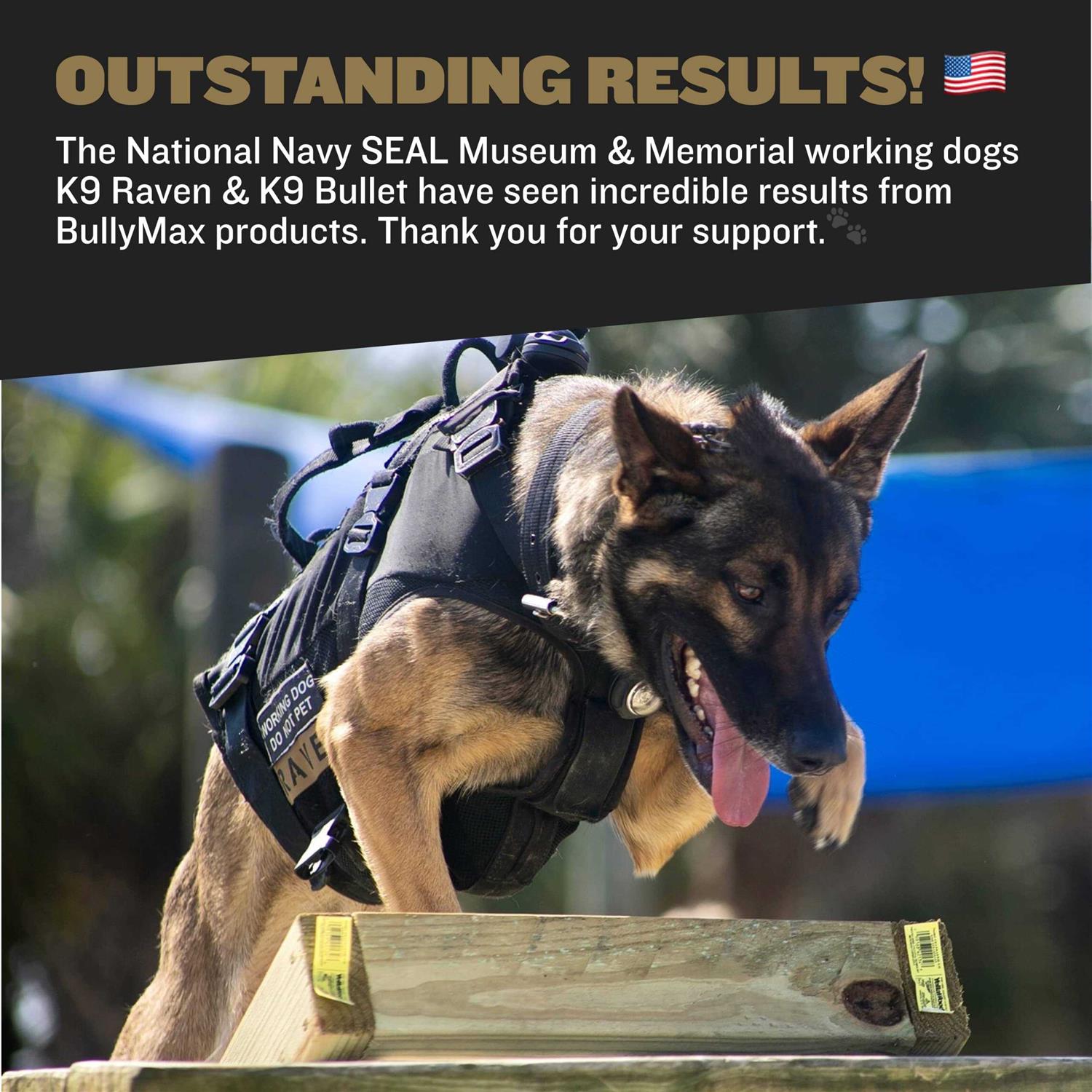Alternative view of Bully Max Protein Powder for Dogs Supports Muscle Building & Muscle Gain #1-Rated Performance Brand Since 2009