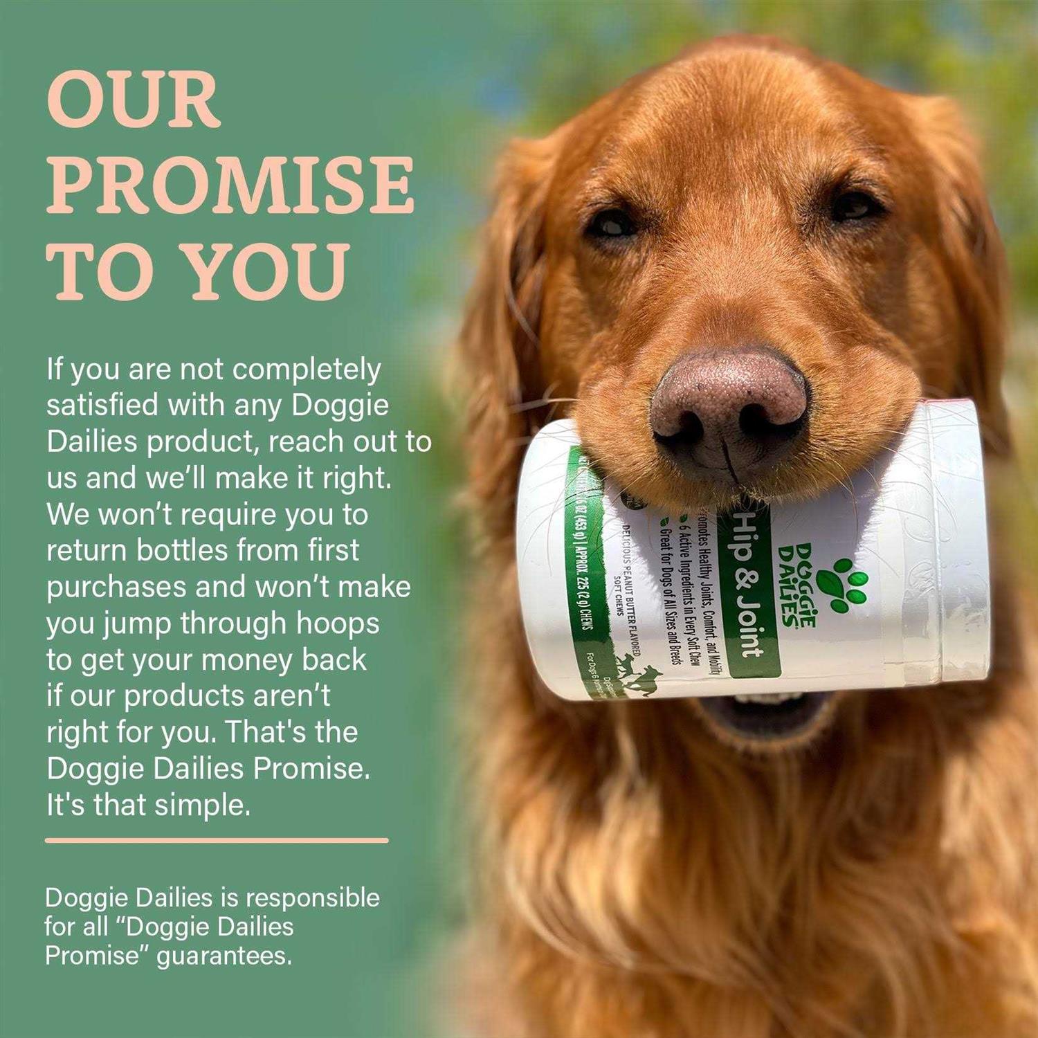 Alternative view of Doggie Dailies Glucosamine for Dogs
