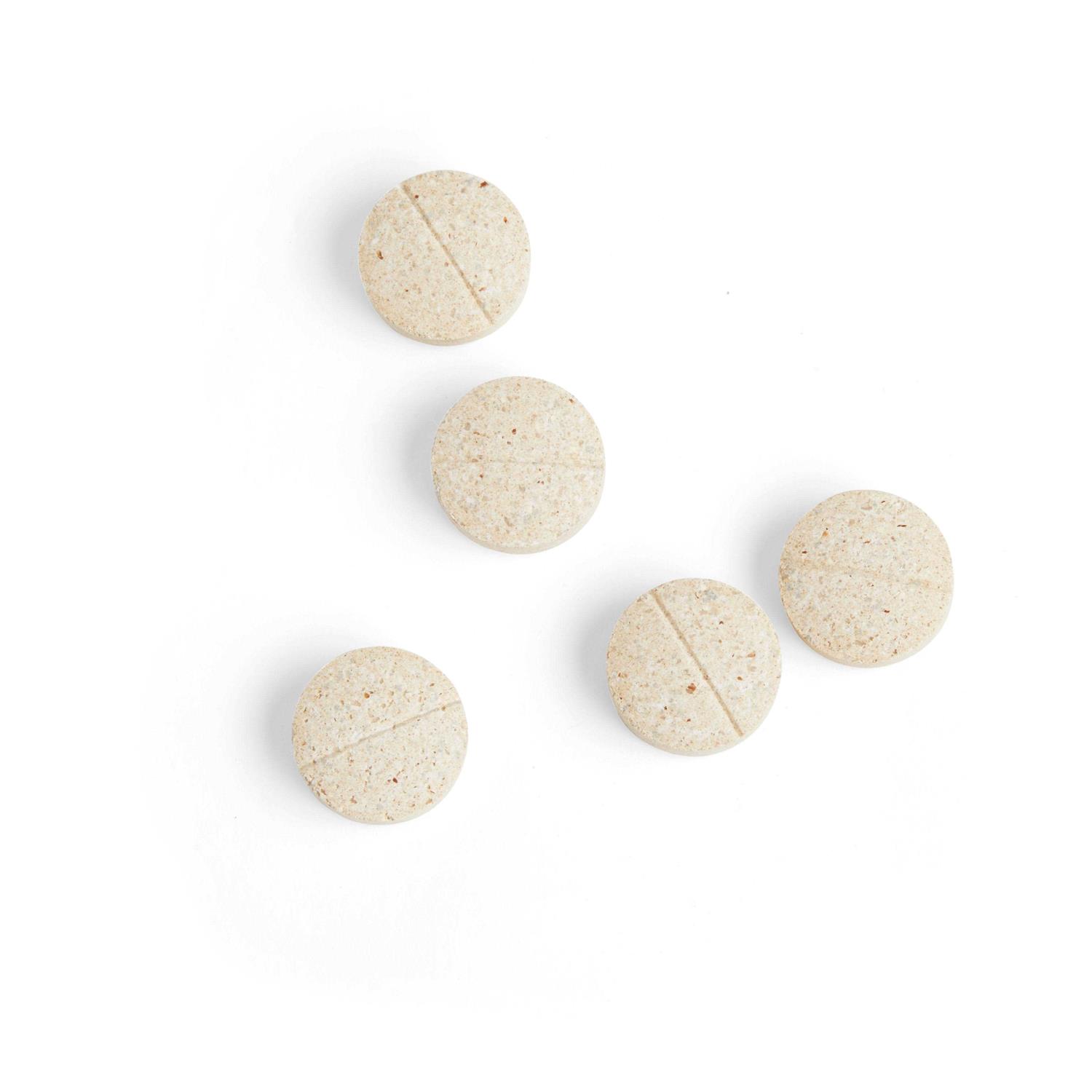 Alternative view of Well & Good Digestive Enzymes & Probiotics Tablets for Dogs