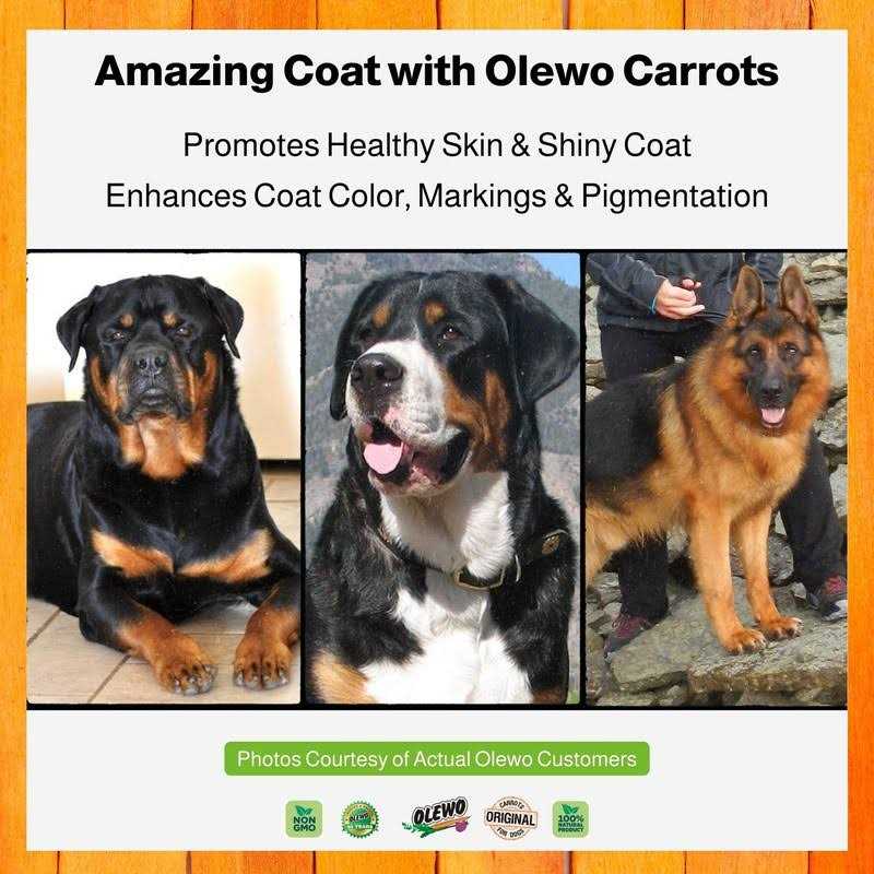 Alternative view of Olewo Original Carrots for Dogs Fiber for Dog Stool Hardener Dog Food Toppers for Picky Eaters