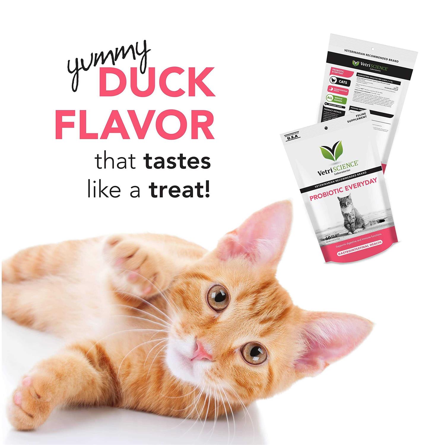 Alternative view of VetriScience Probiotic Everyday for Cats