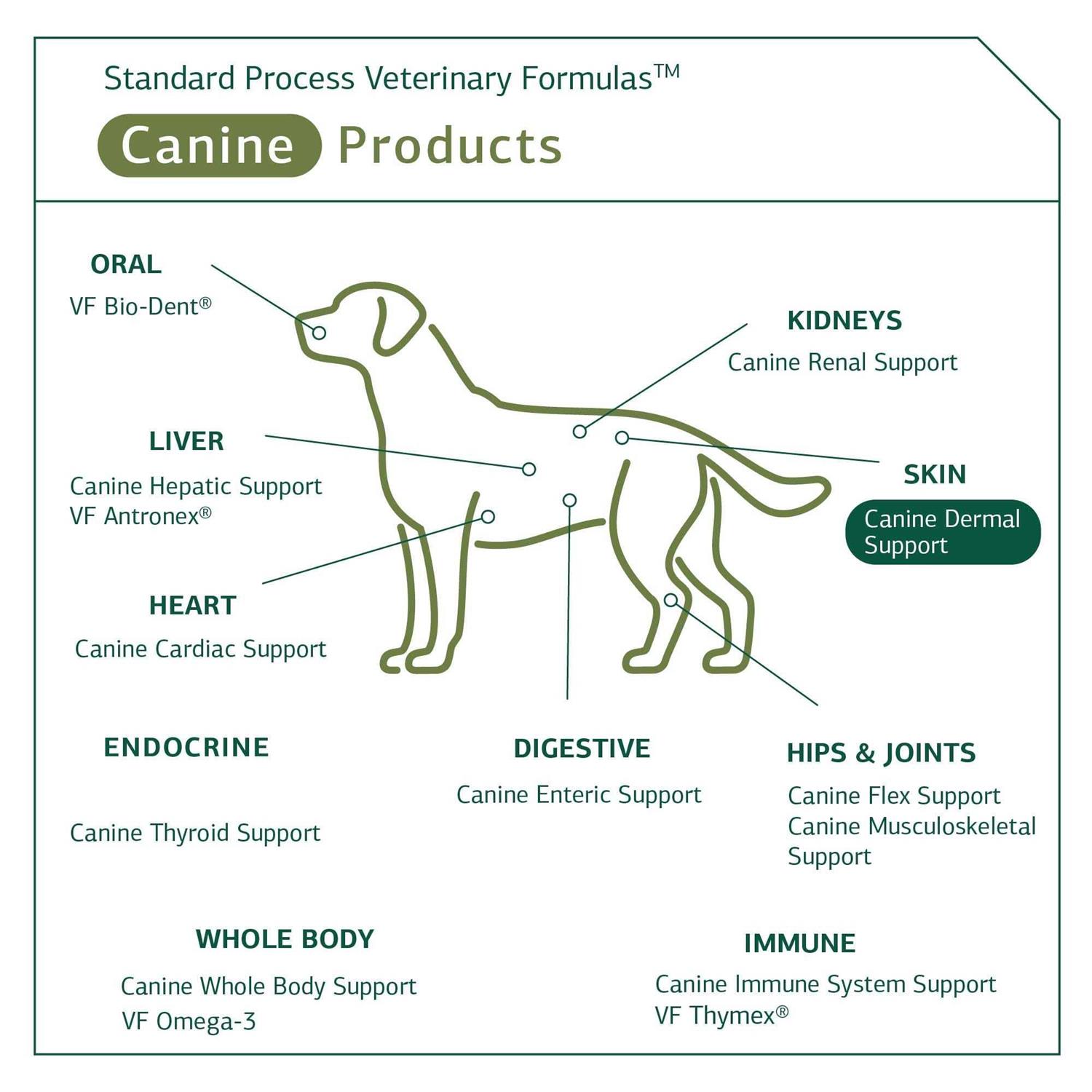 Alternative view of Canine Dermal Support Standard Process