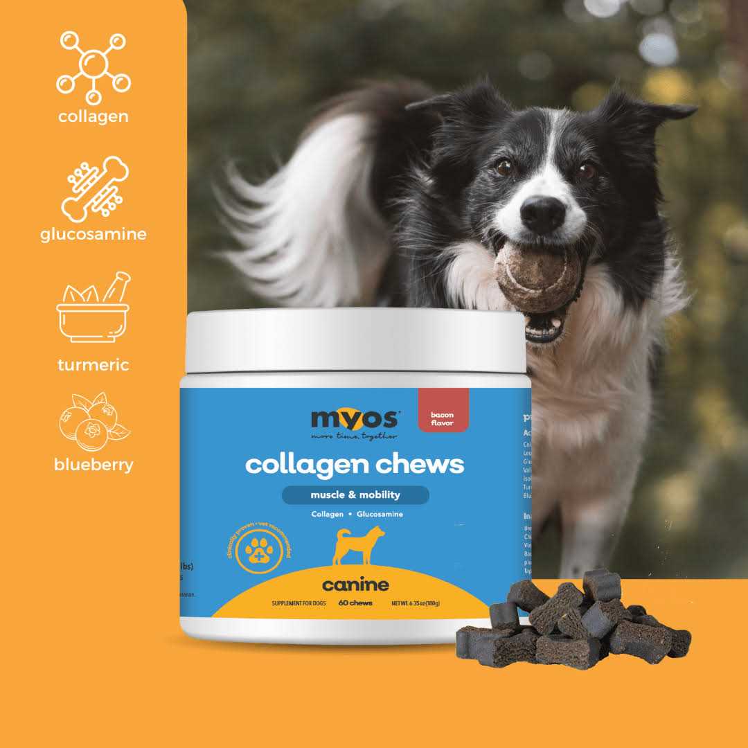 Alternative view of MYOS Muscle & Mobility Collagen Chew for Dogs