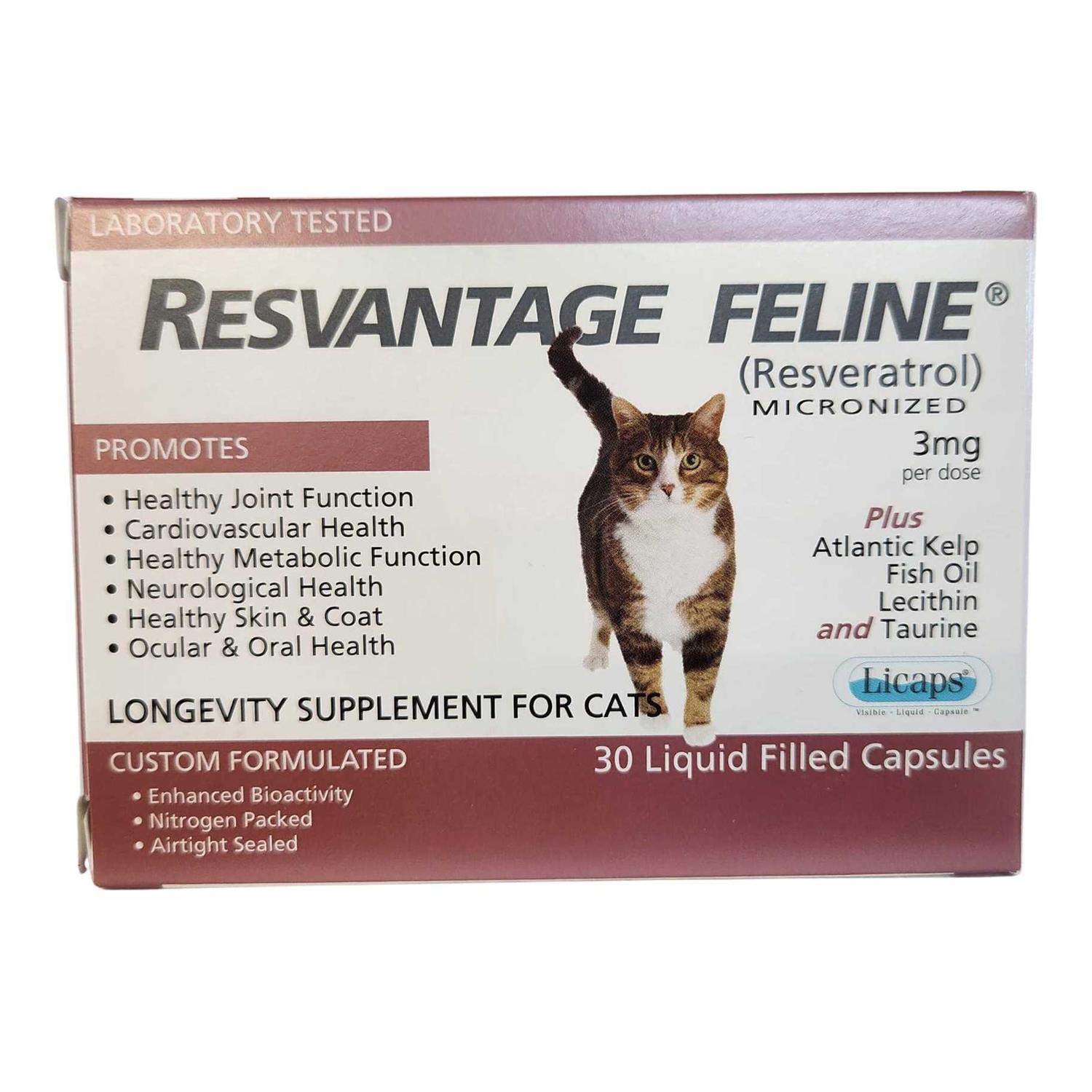 Alternative view of Resvantage Feline