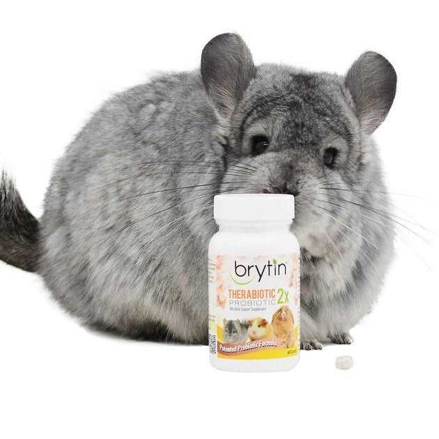 Alternative view of Brytin TheraBiotic 2X Probiotic Microbial Support Supplement