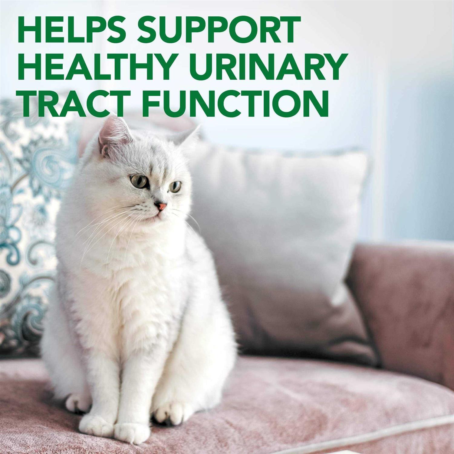 Alternative view of Vet's Best Urinary Tract Support