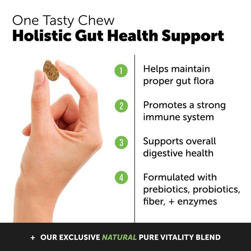 Alternative view of Pet Honesty Probiotics for Dogs Digestive Enzymes Promotes Gut Health