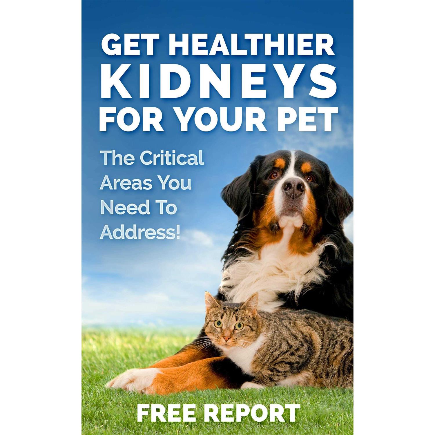 Alternative view of Dog and Cat Kidney Support Canine Feline Renal Health Support Supplement for Normal Kidney Function