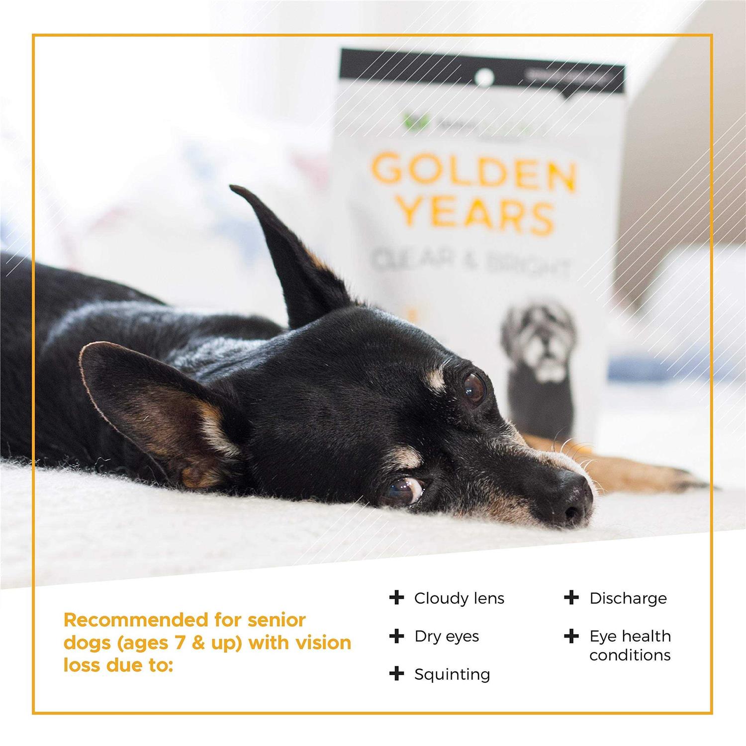 Alternative view of VetriScience Golden Years Clear & Bright Supplement for Dogs 5.29 oz