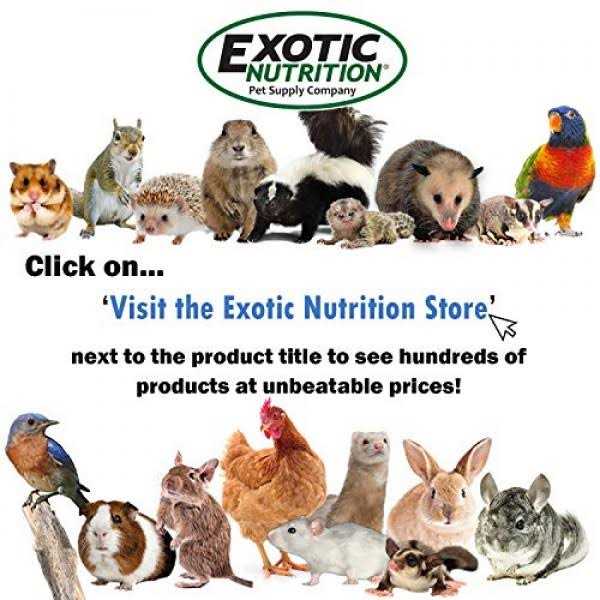 Alternative view of Exotic Nutrition Liquid Calcium Supplement 2 oz