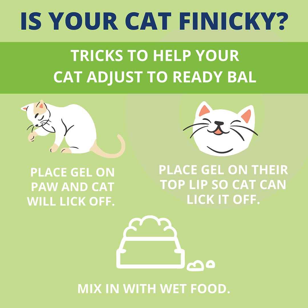 Alternative view of Under the Weather Pet Ready Balance for Cats