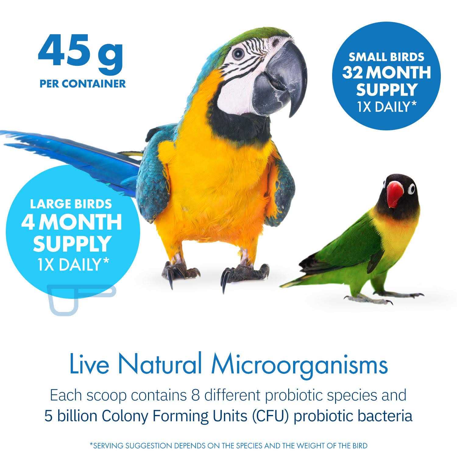 Alternative view of Equa Holistics Avian Probiotics Dietary Supplement for Parrots