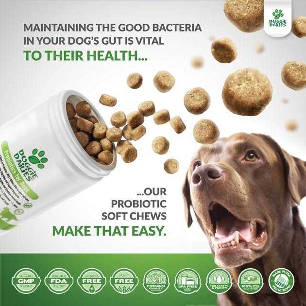 Alternative view of Doggie Dailies Probiotics for Dogs Advanced Dog Probiotics with Prebiotics
