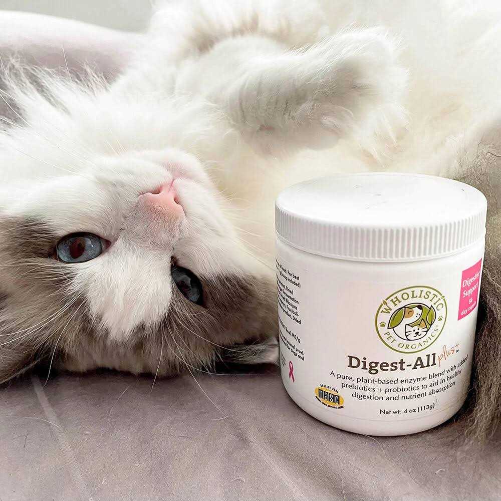 Alternative view of Wholistic Pet Organics Digest All Plus