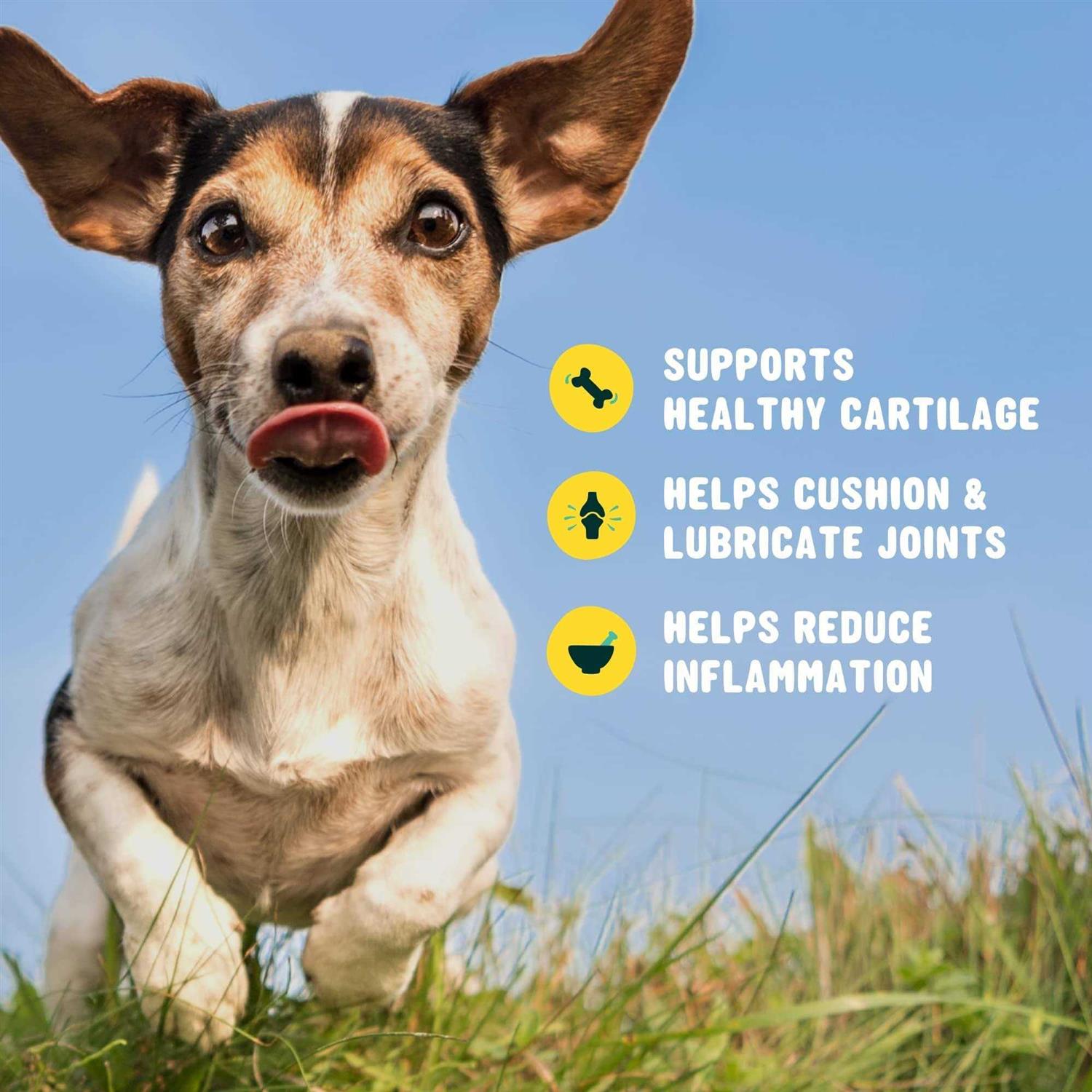 Alternative view of Active Chews Glucosamine for Dogs Hip and Joint Supplement with Chondroitin, Turmeric, and Msm