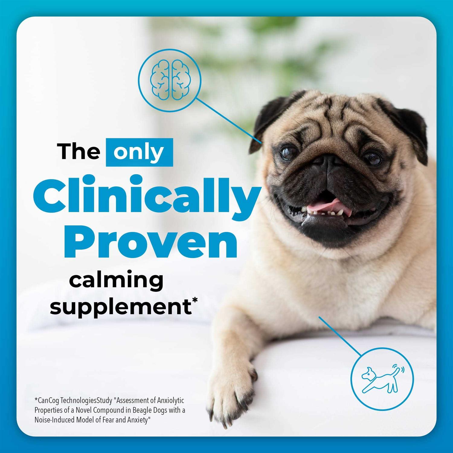 Alternative view of VetriScience Composure Calming Supplement for Dogs