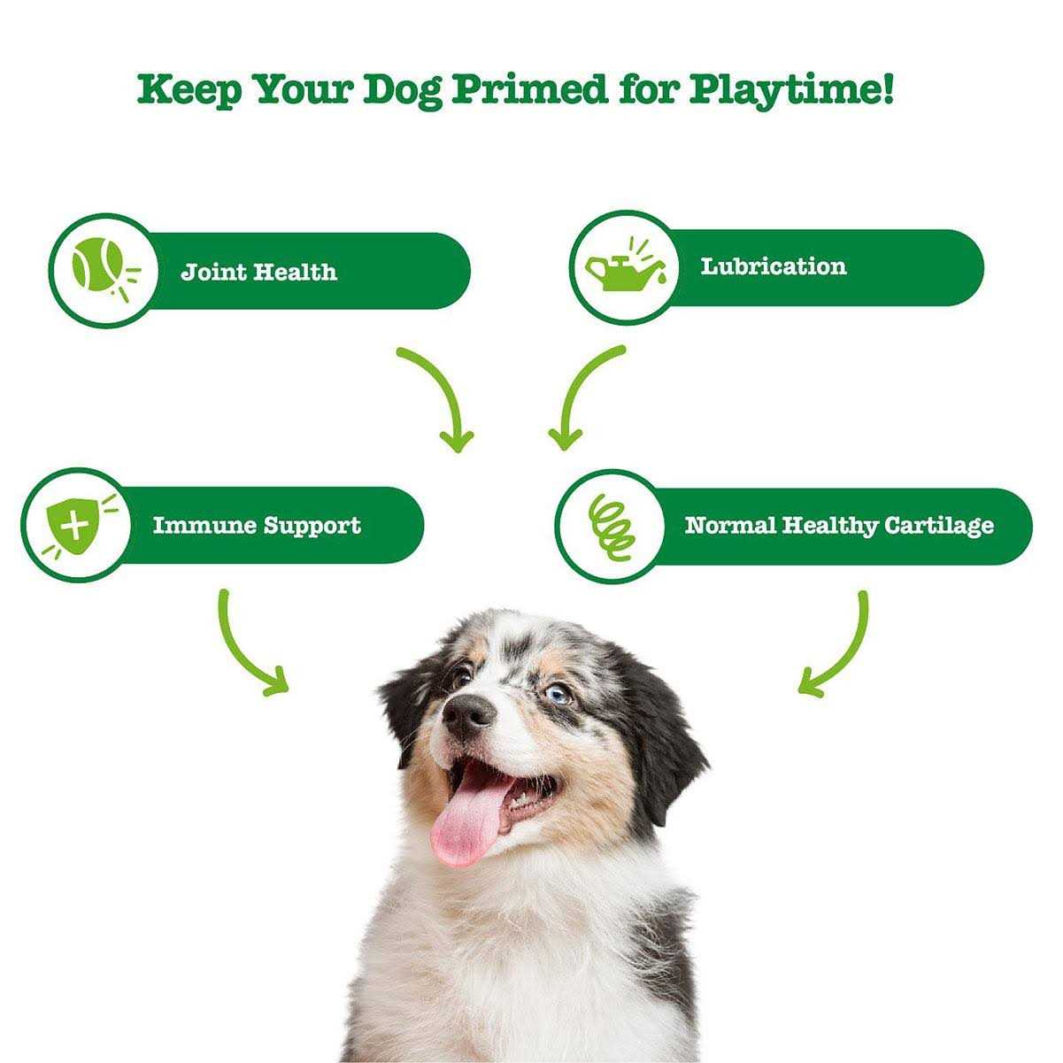 Zesty Paws Hemp Elements Mobility Bites for Dogs