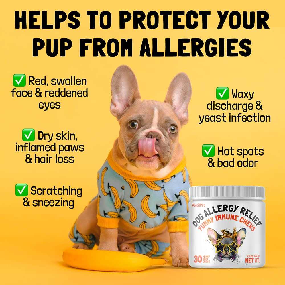 Alternative view of Legitpet Allergy Relief Chews for Dogs & Immune Support with Kelp Colostrum & Bee Pollen