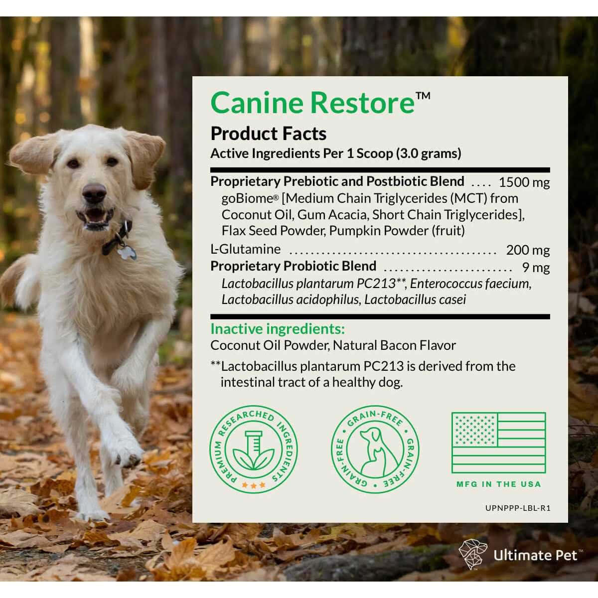 Alternative view of Ultimate Pet Nutrition Canine Restore Pre, Pro, and Postbiotic Digestive Support Powder for Dogs 3.17 oz