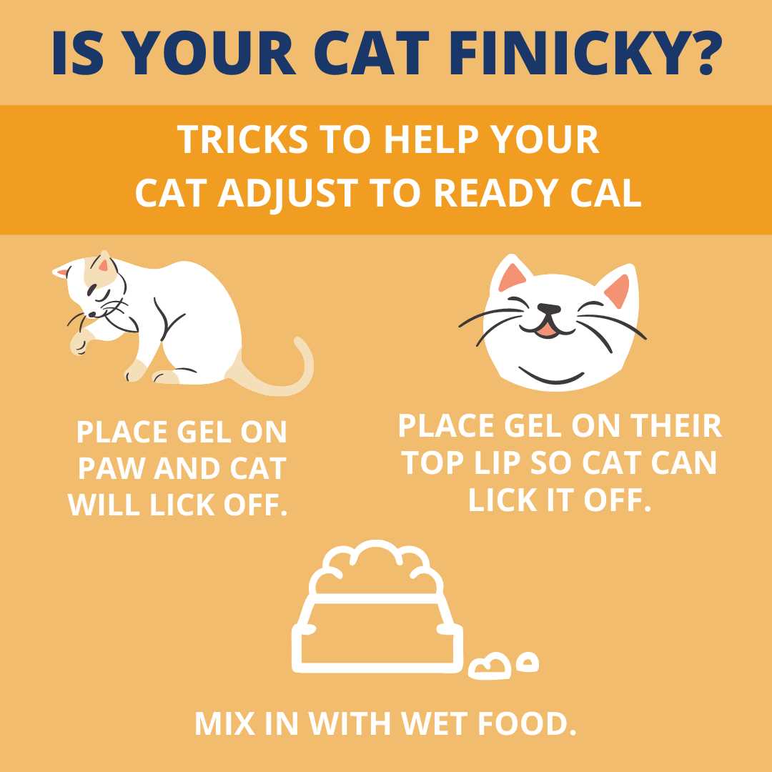 Alternative view of Under the Weather Pet Ready Cal for Cats 100cc High Calorie Supplement