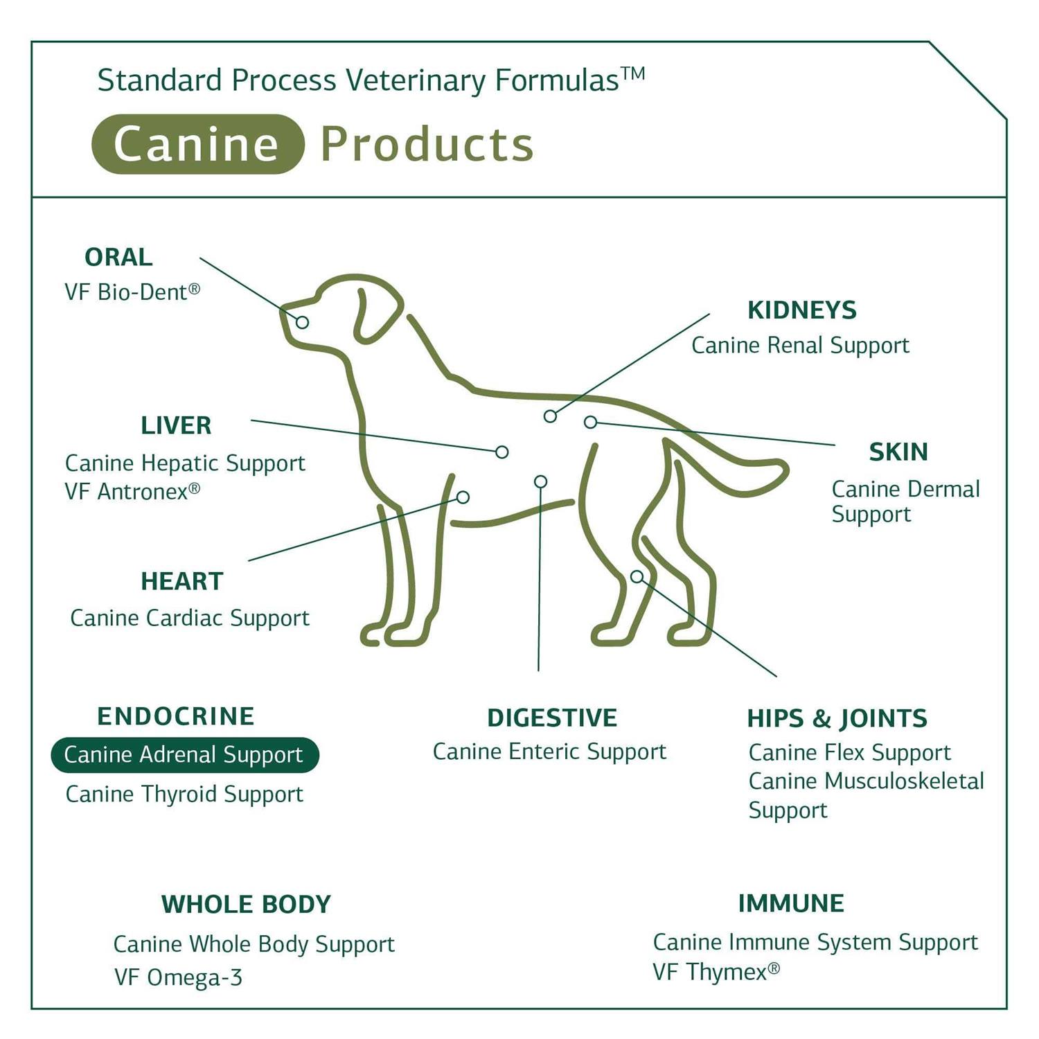Alternative view of Canine Adrenal Support