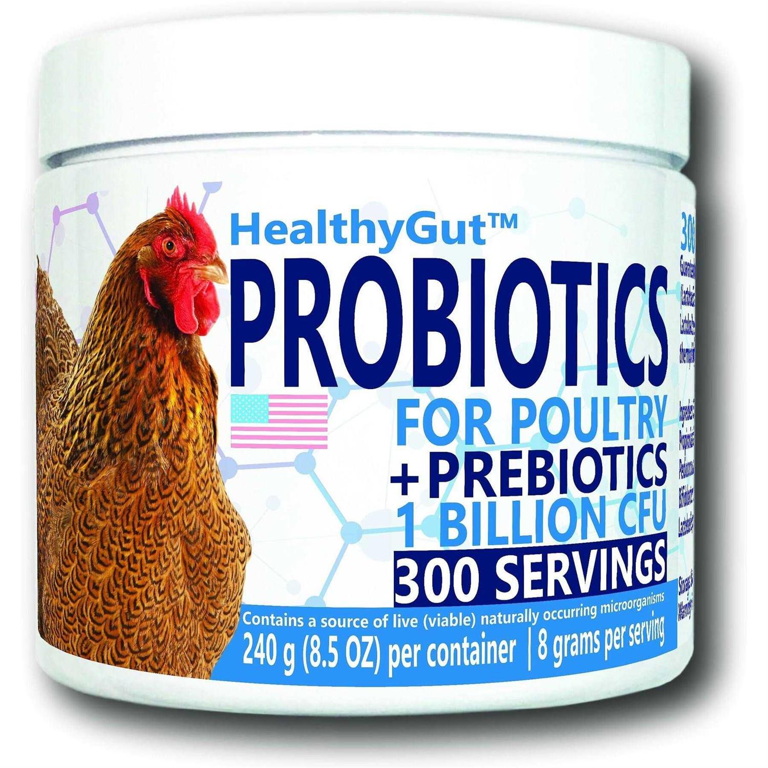 Equa Holistics HealthyGut Probiotics for Chickens & Poultry