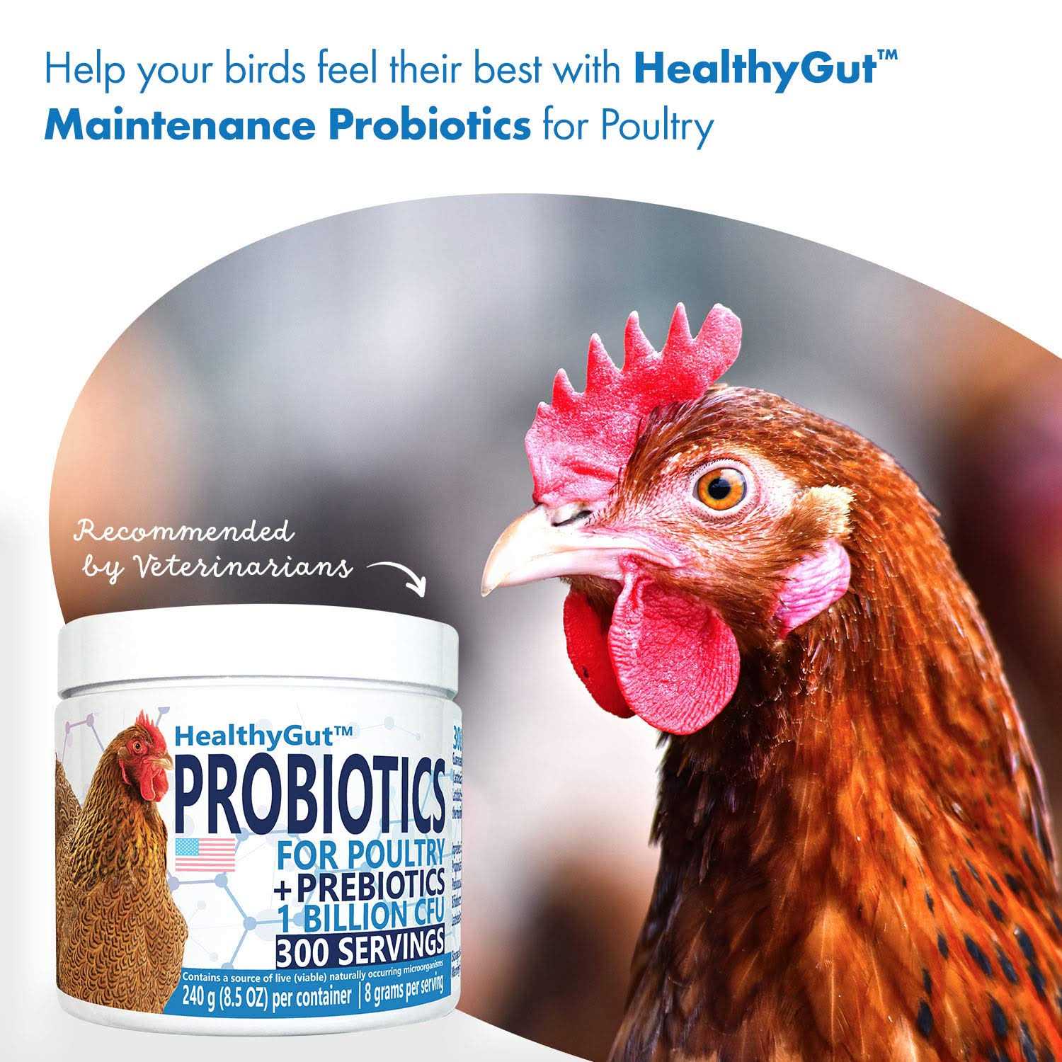 Alternative view of Equa Holistics HealthyGut Probiotics for Chickens & Poultry