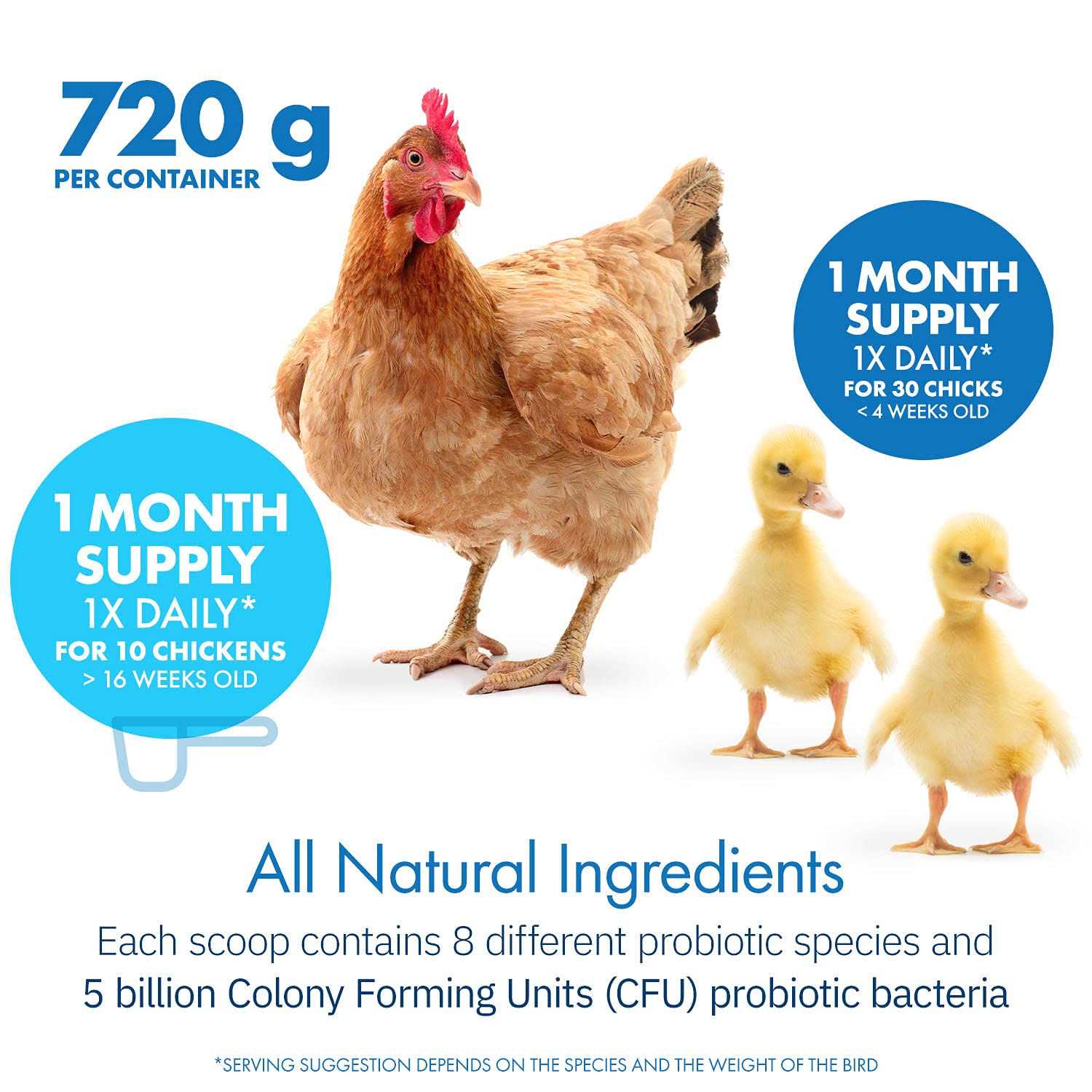 Alternative view of Equa Holistics HealthyGut Probiotics for Chickens & Poultry