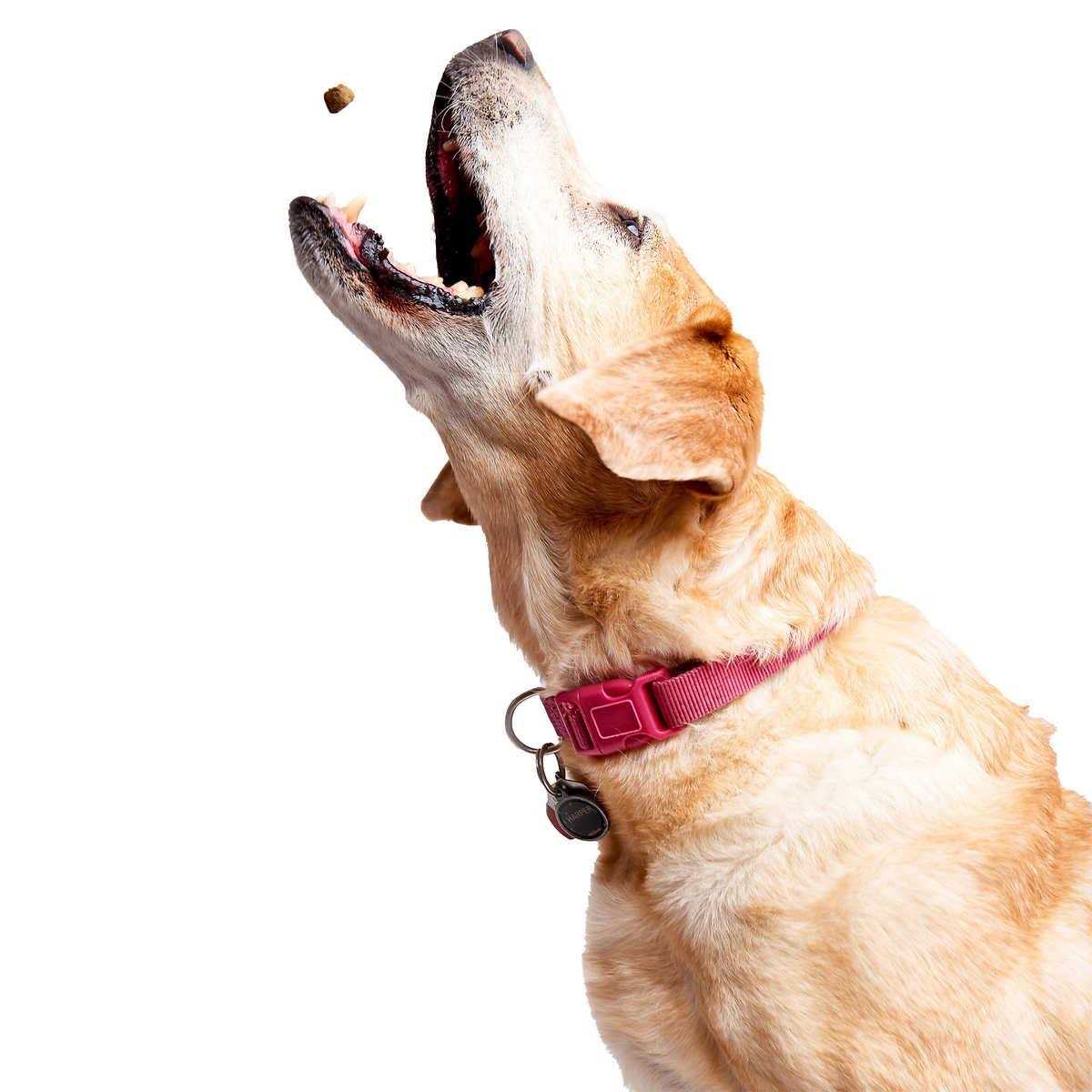 Alternative view of Zesty Paws 8-in-1 Bites