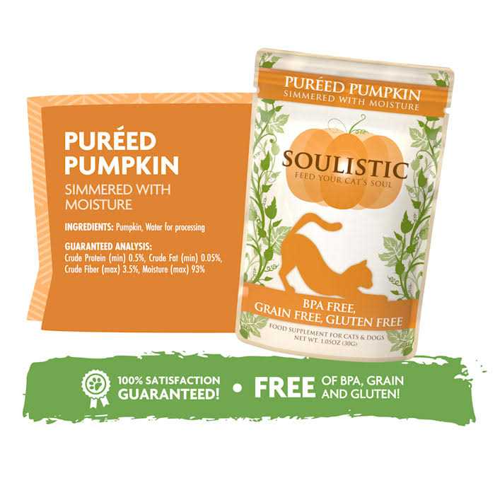 Alternative view of Soulistic Pureed Pumpkin Food Supplement for Cats & Dogs