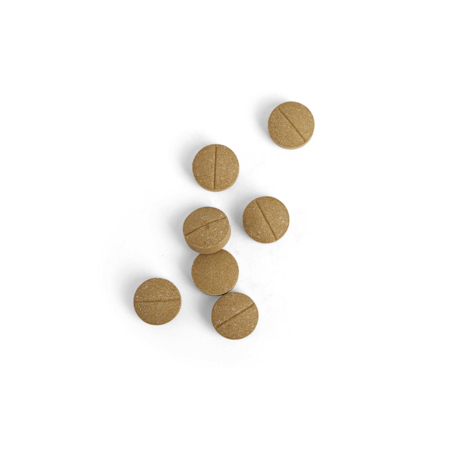 Alternative view of Well & Good Coprophagia Chewable Tablets for Dogs